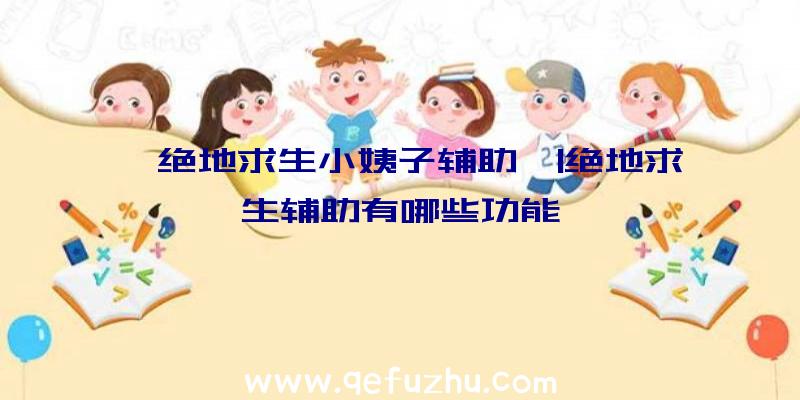 「绝地求生小姨子辅助」|绝地求生辅助有哪些功能